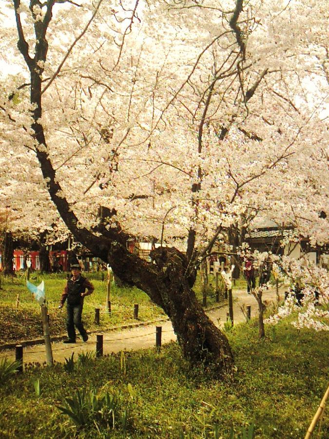 Orange Inn Kyoto Bagian luar foto